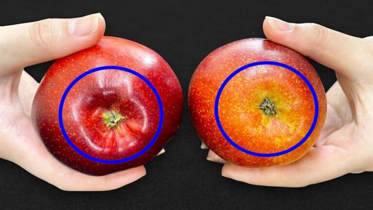 Questo metodo semplice ti garantirà le mele migliori del tuo giardino…